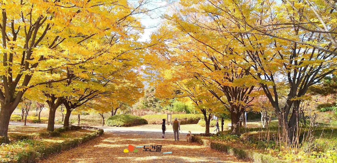  일산호수공원 사계(일출 석양 무지개 단풍)