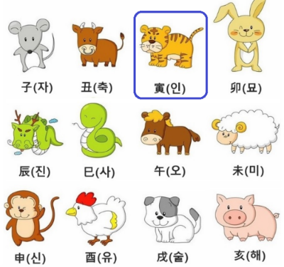  [사주 명리학] 2023년 호랑이띠 운세