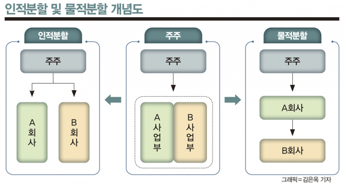  물적분할과 인적분할의 차이점과 인적분할의 문제점 알아보기 (머니S)
