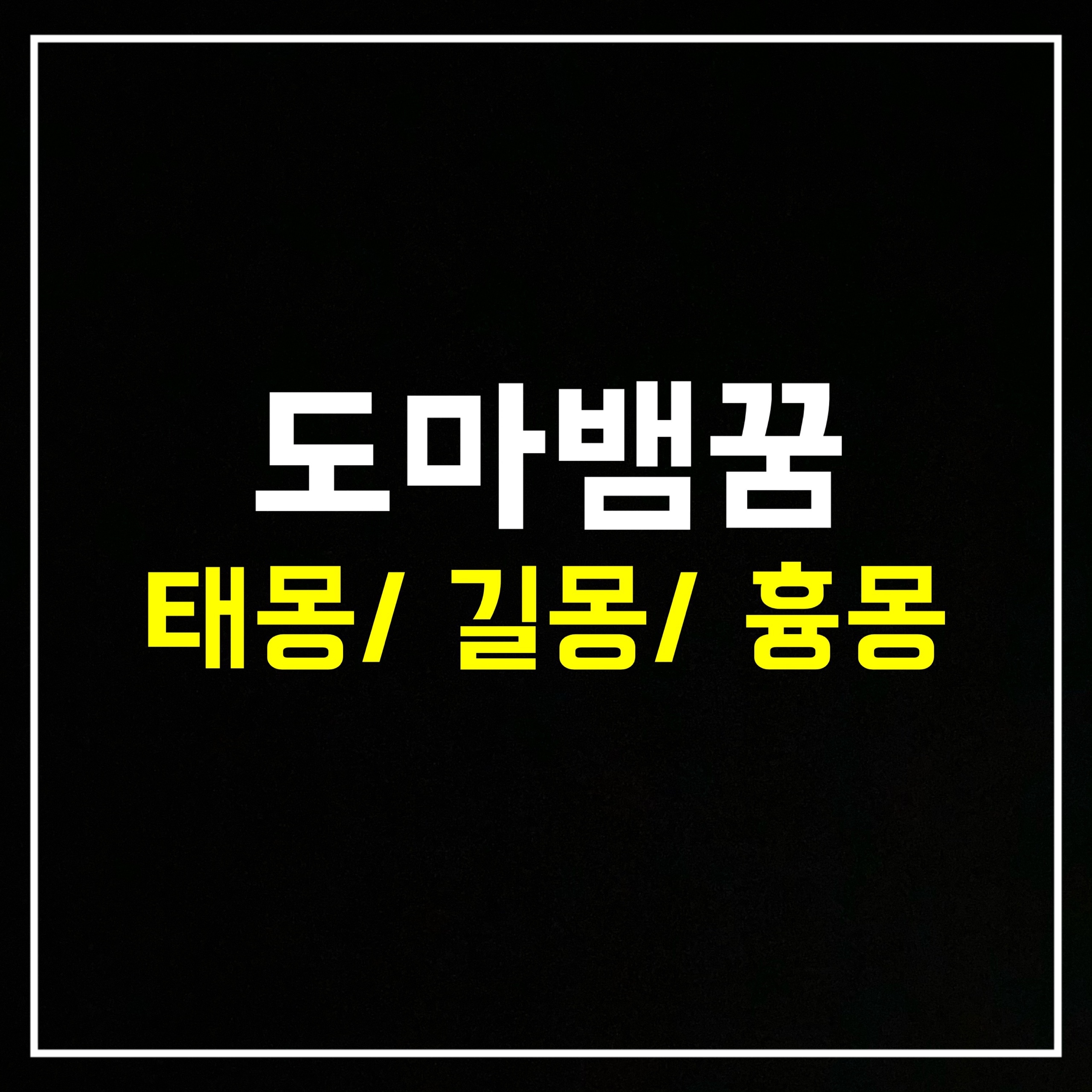  [동물꿈] 도마뱀꿈은 어떤 의미일까? 태몽/길몽/흉몽 총정리