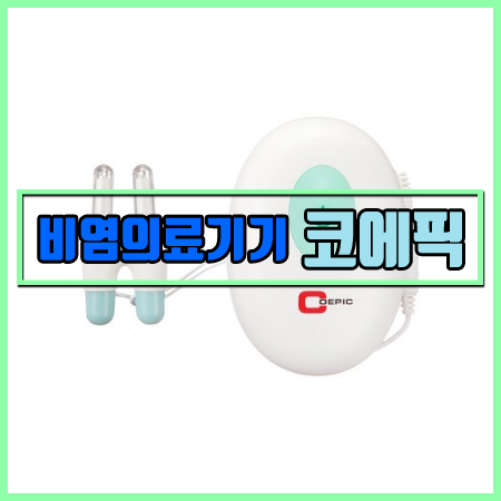  알레르기 비염 치료기기 코에픽 특가 할인 [저출력광선조사기]