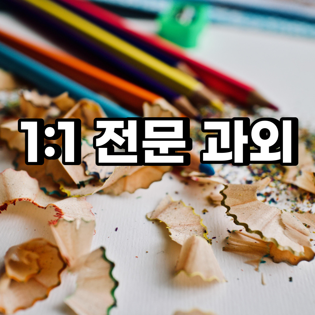  일산동구 초등 영어과외 식사동 중산동 중등 고등 국어 수학과외 검정고시