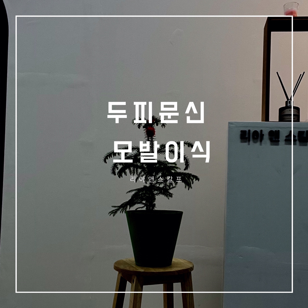  대구두피문신잘하는곳/리아앤스칼프/모발이식