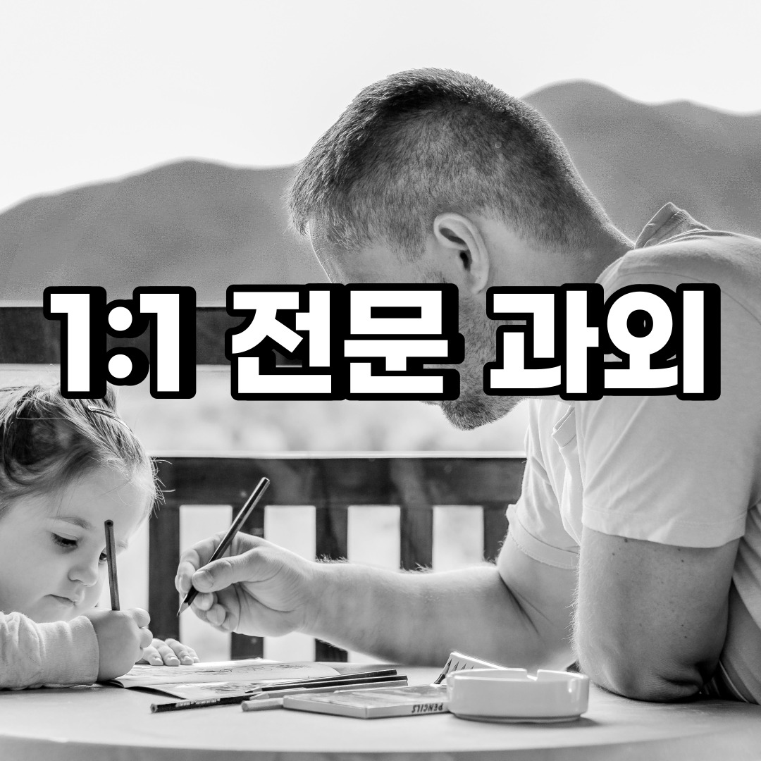 서울중구 초등학생 영어과외 주자동 예장동 중학생 고등학생 국어 수학과외 검정고시