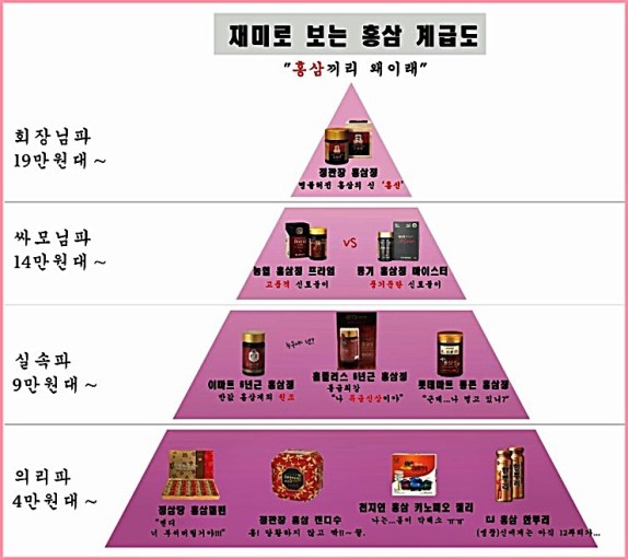  홍삼 계급도