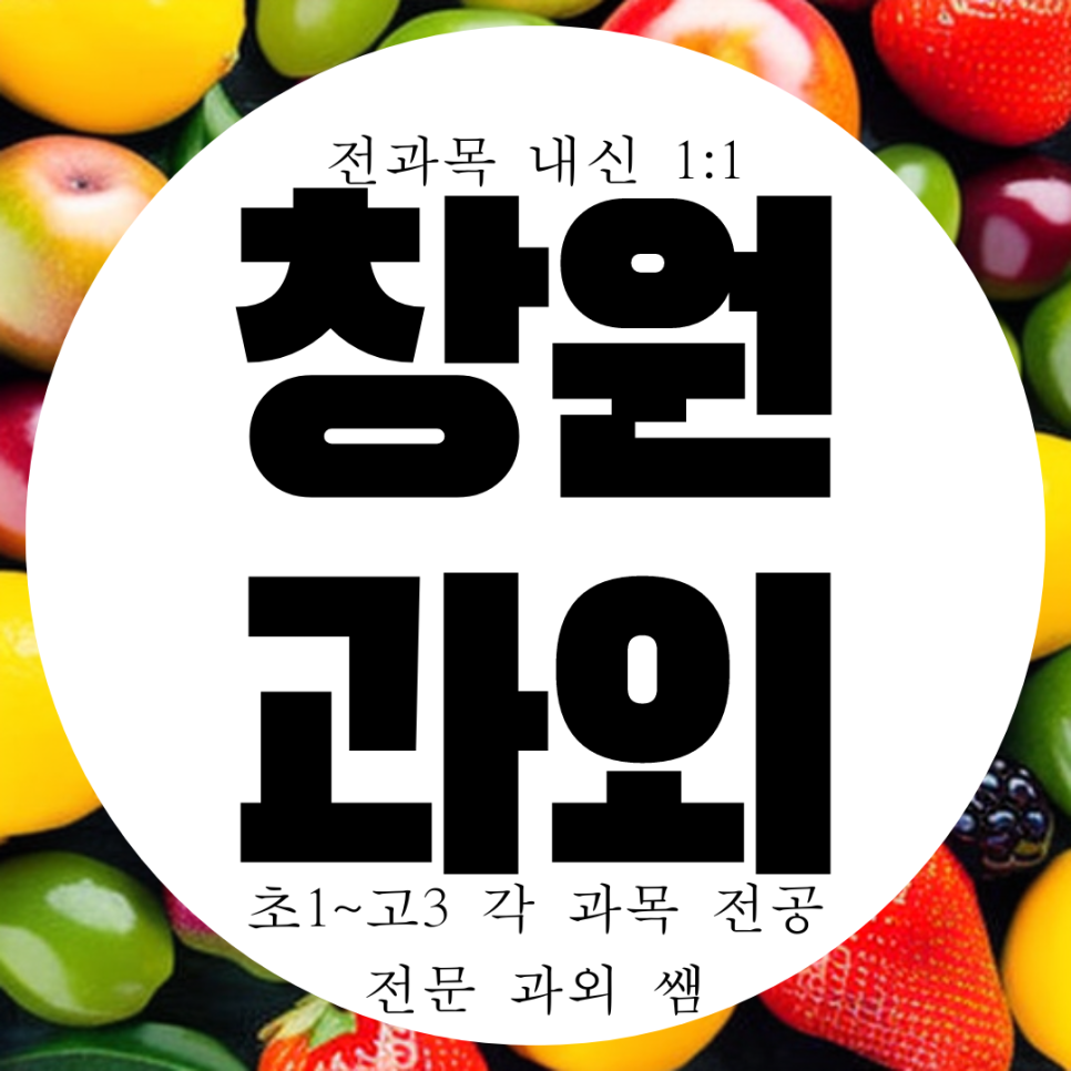  진해 용원 고등 수학과외 입시 중등 국어 영어과외 용원고 내신 수능 용원중 과학 중학생 과학 영수 전문