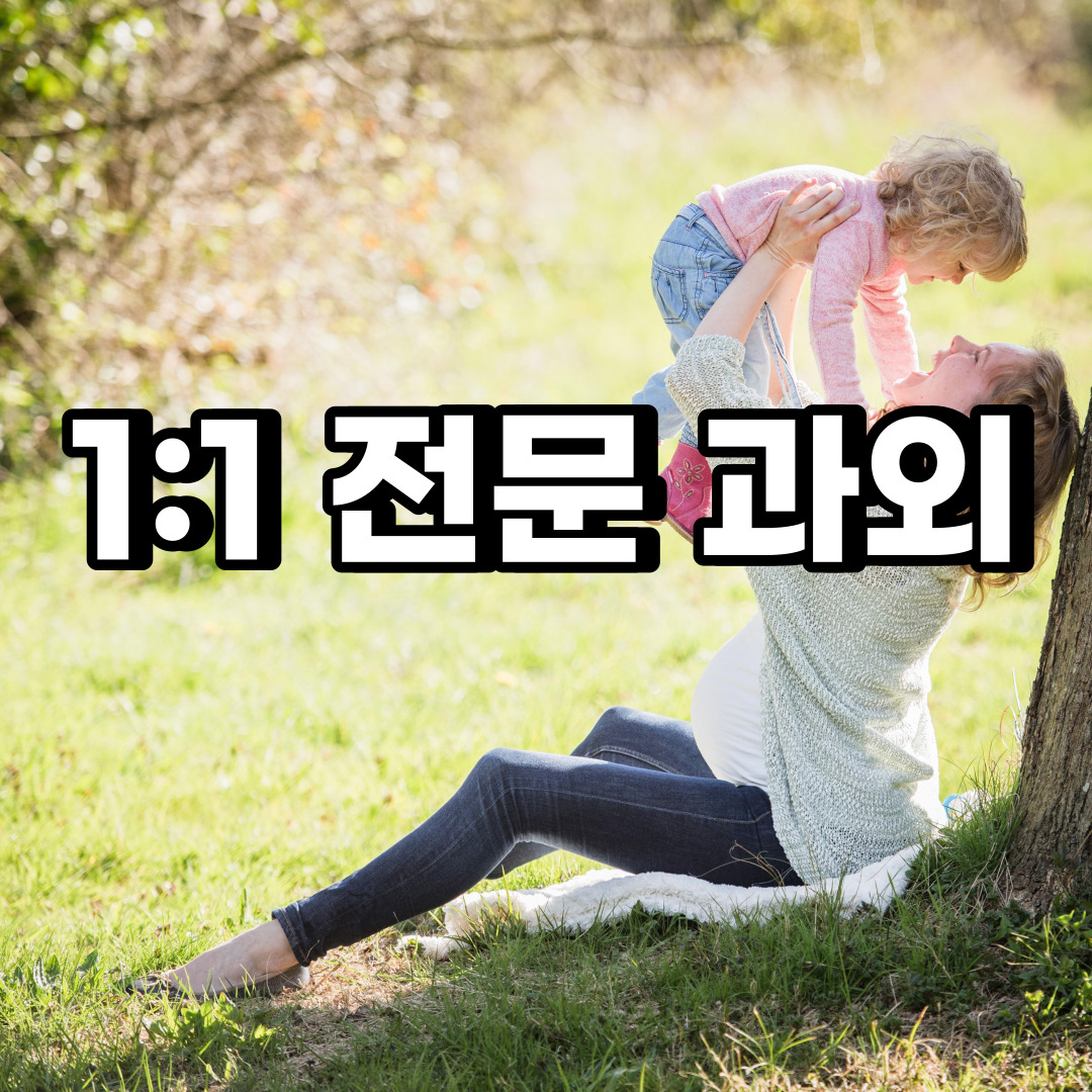  안성 초등 영어과외 가현동 신건지동 중등 고등 국어 수학과외 검정고시