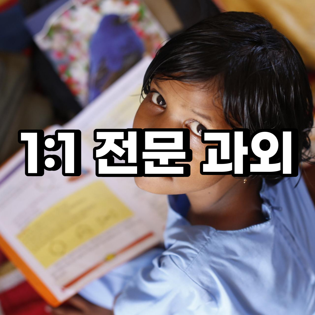  강서구 초등 영어과외 방화동 개화동 중등 고등 국어 수학과외