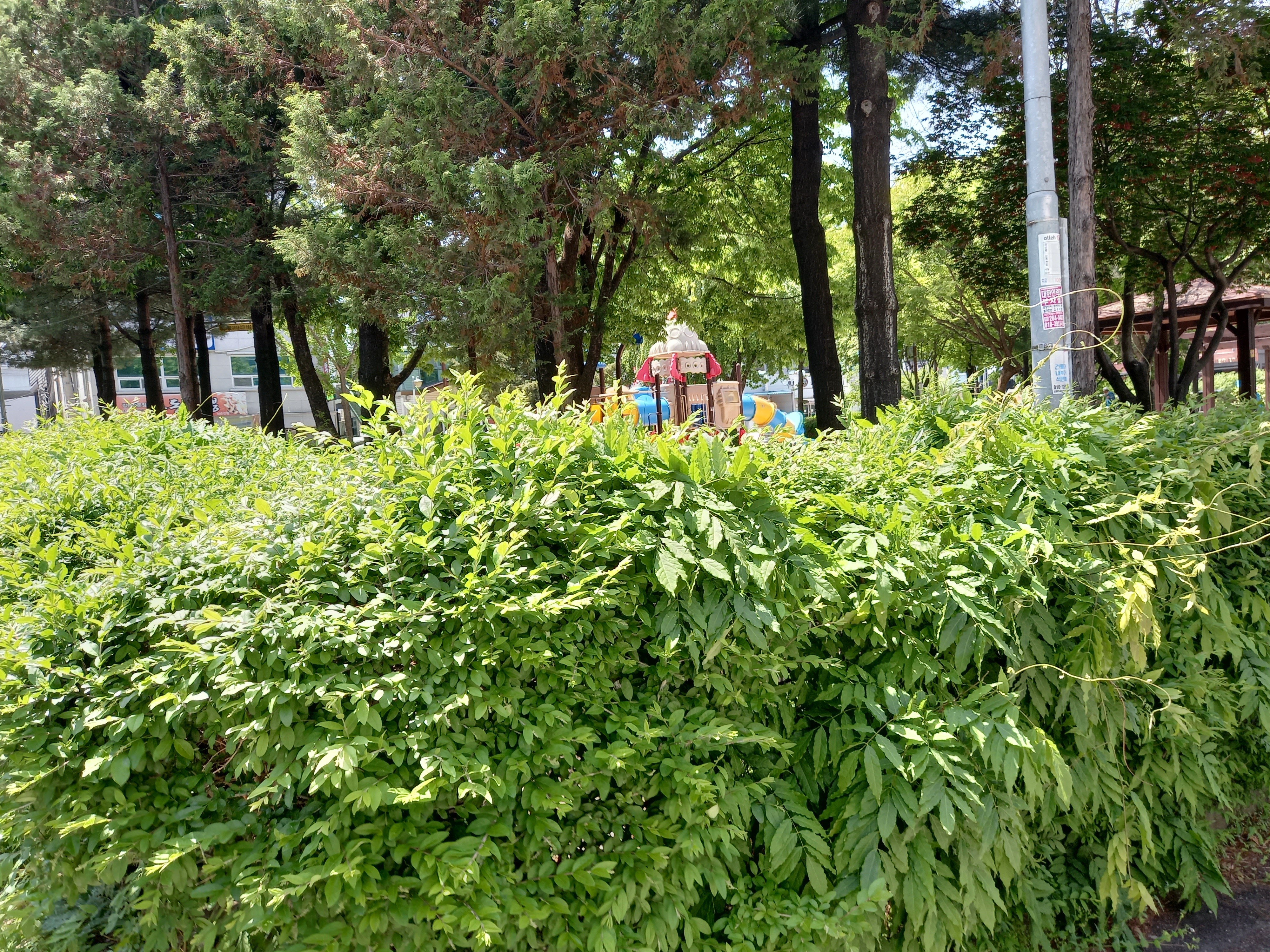  강원도 춘천시에 위치한 우묵들 제3공원 사진을 올립니다.