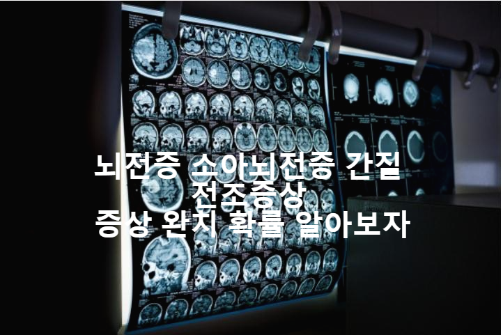  뇌전증 소아뇌전증 간질 전조증상 증상 완치 확률 열경련 알아보자