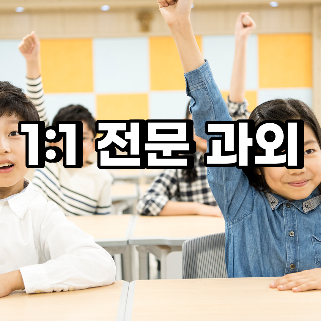  팔달구 초등 영어과외 북수동 신풍동 중등 고등 국어 수학과외 검정고시