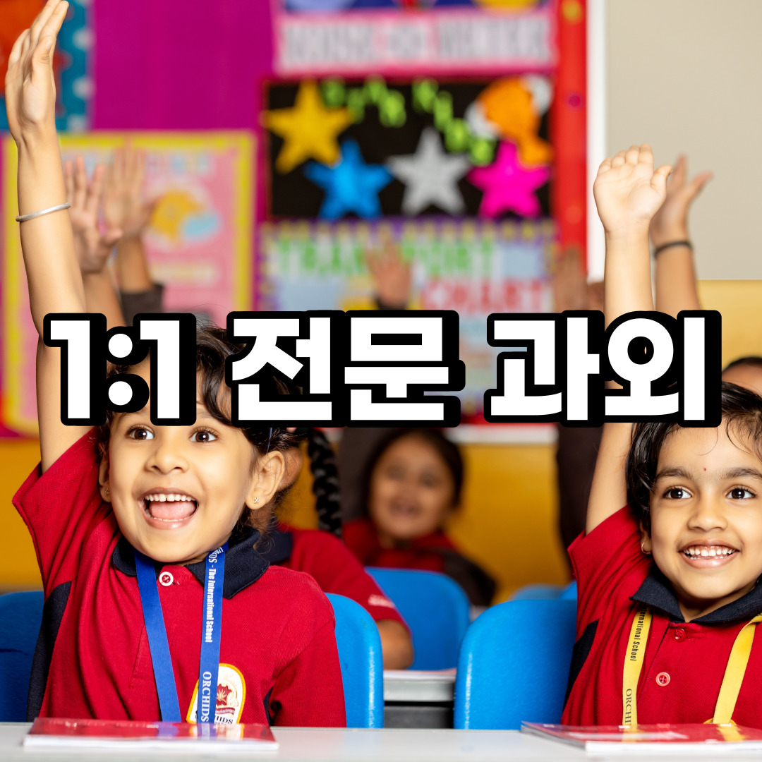  부산연제구 초등 영어과외 수영구 사상구 중학생 중등 고등 국어 수학과외