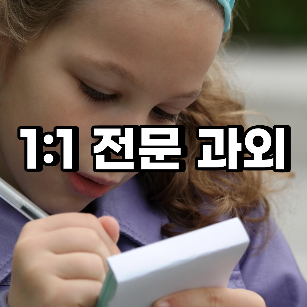  마포구 초등 영어과외 동교동 합정동 중등 고등 국어 수학과외