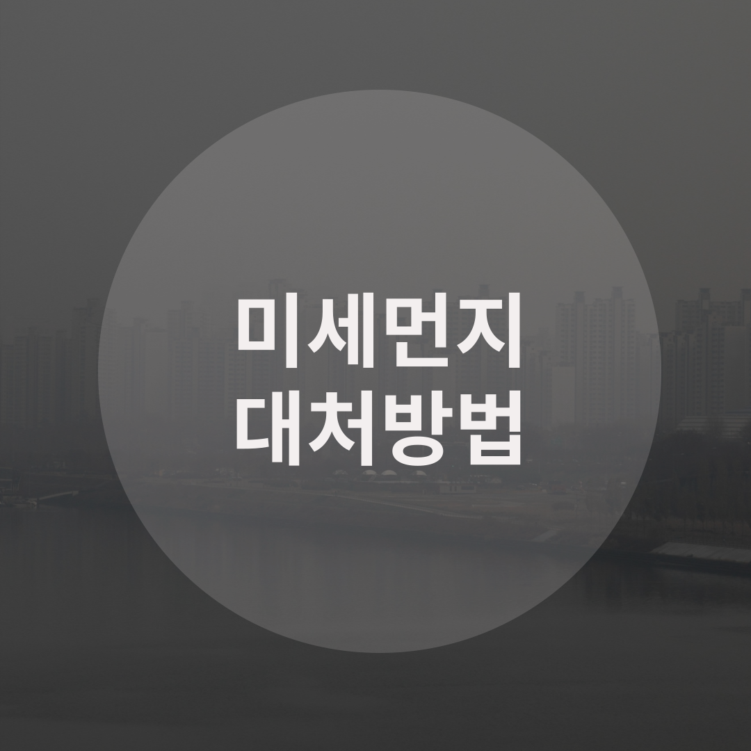  건강을 위협하는 미세먼지 대처법 알아보기