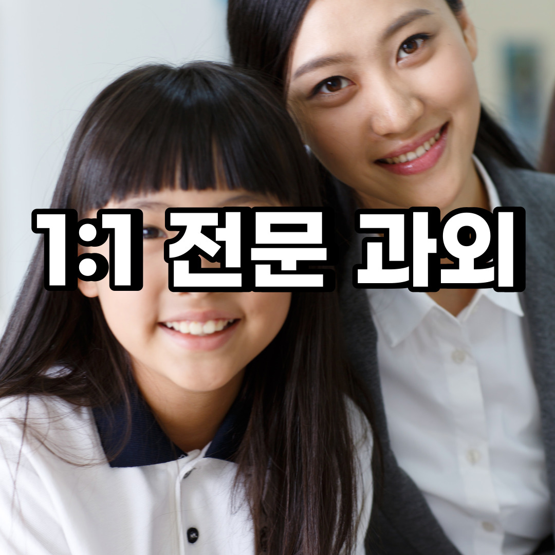  시흥 초등 영어과외 대야동 신천동 중등 고등 국어 수학과외 검정고시