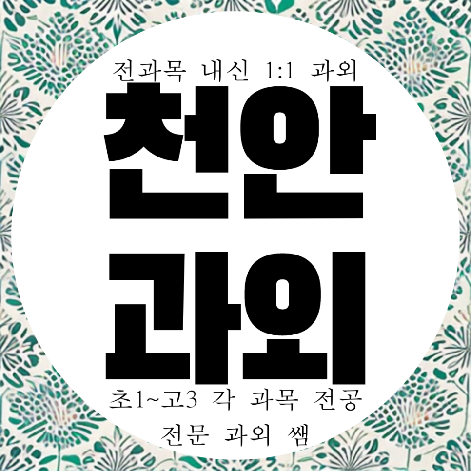  천안 두정 국영수 과외 고등 북일여고 내신 방문 수학 영어 중등 영수 과학 북일고 두정동 전문 전과목 과외