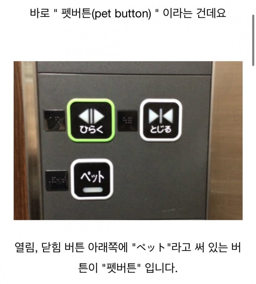  일본 엘리베이터에만 있는 기능