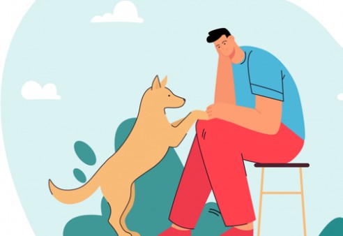  강아지 고양이 반려동물의 죽음, 펫로스 증후군 5단계