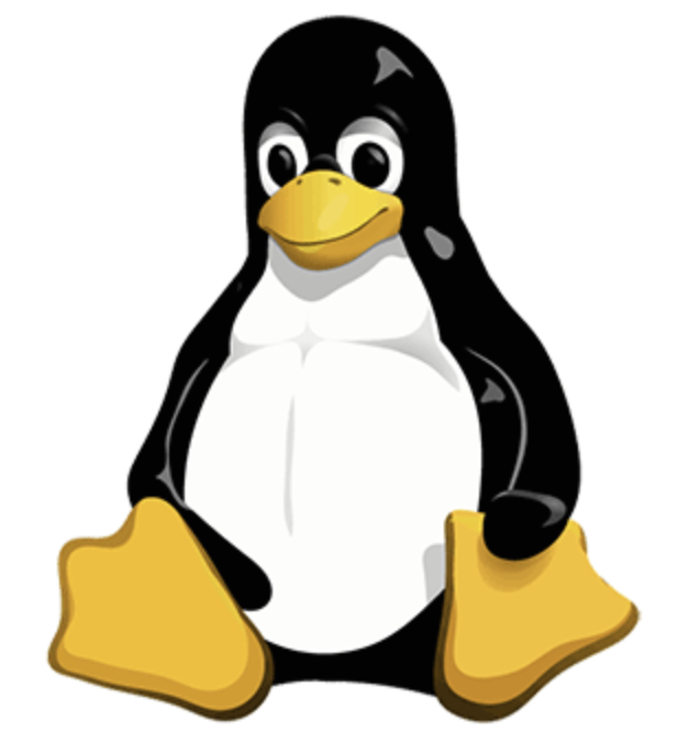 [Linux] 터미널 내에 파일 옮기기, 복사, 삭제하기