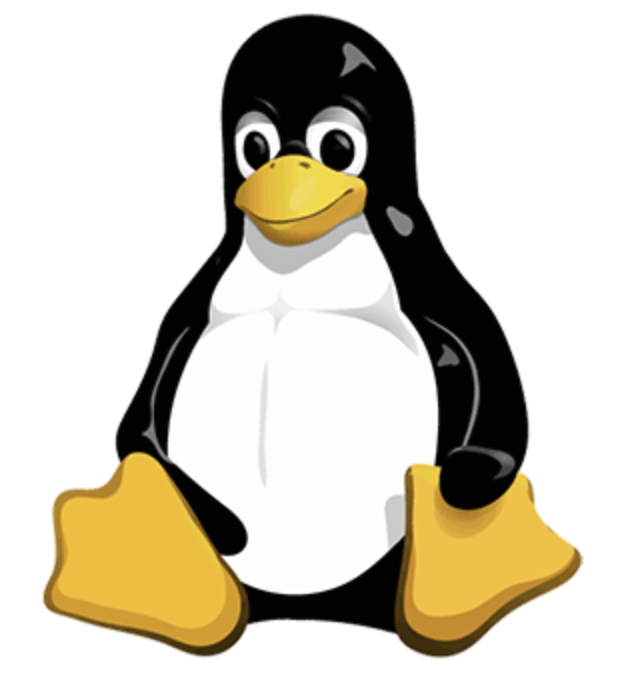  [Linux] 터미널 내에 파일 옮기기, 복사, 삭제하기