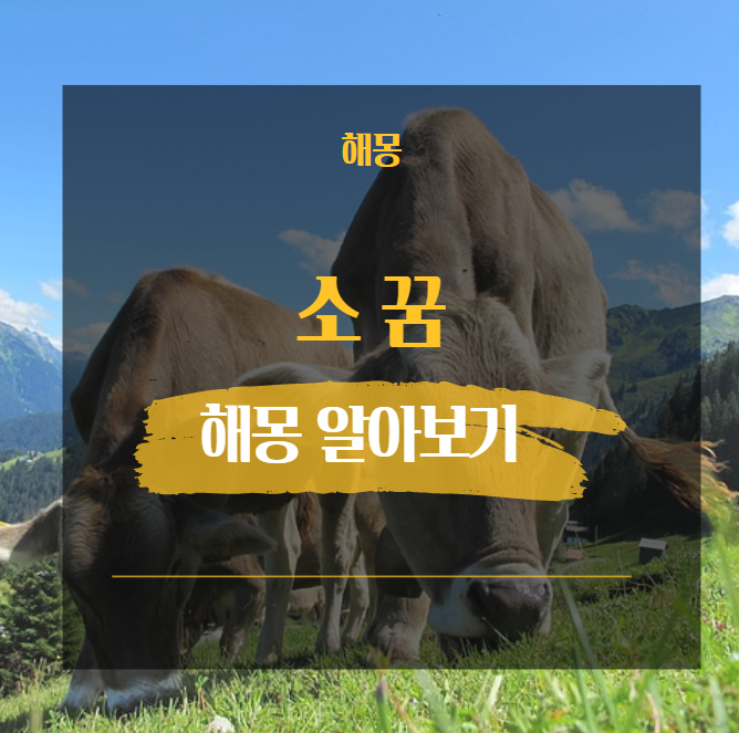  소 꿈 해몽모음 21가지 해석