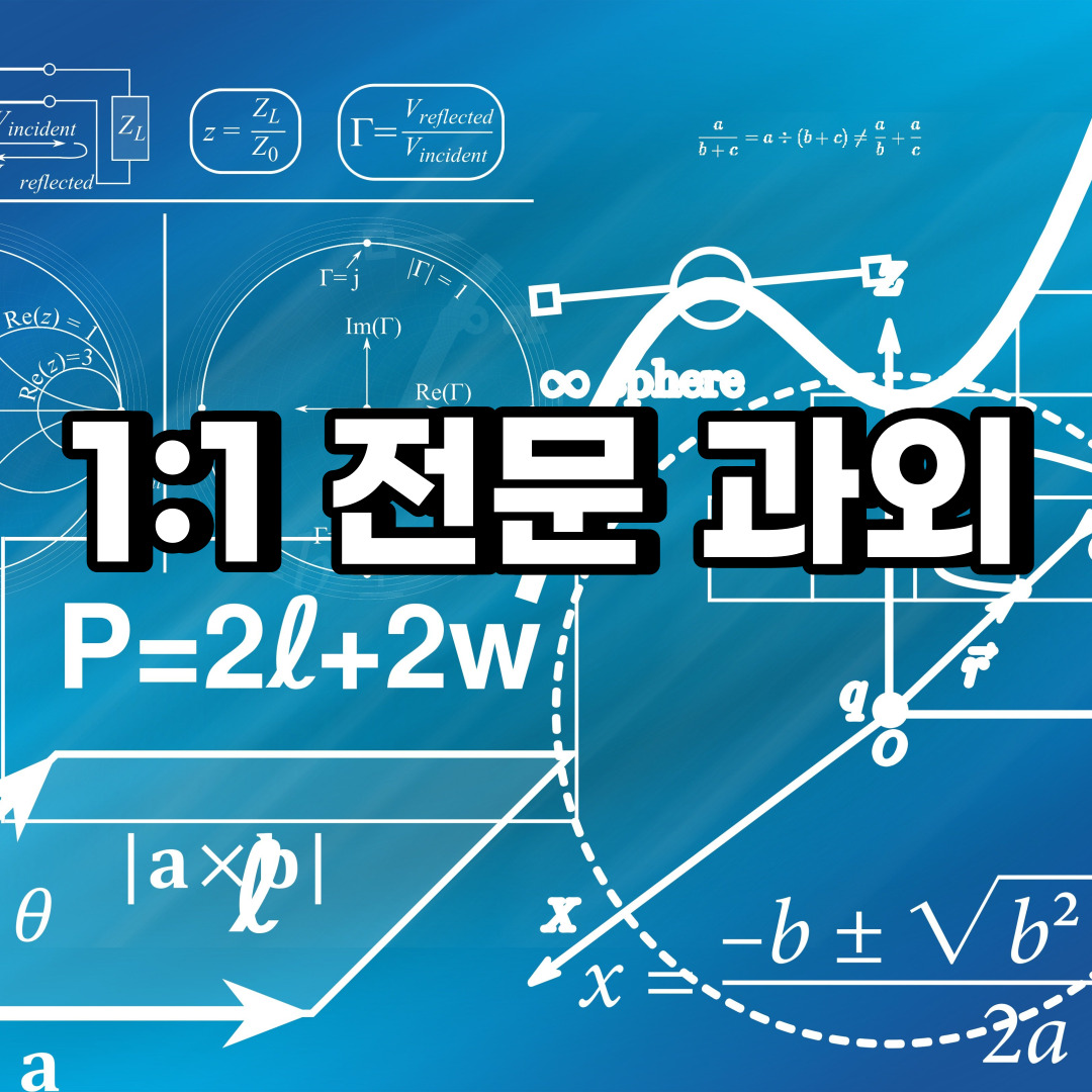 서울중구 초등학생 영어과외 쌍림동 주교동 중학생 고등학생 국어 수학과외 검정고시