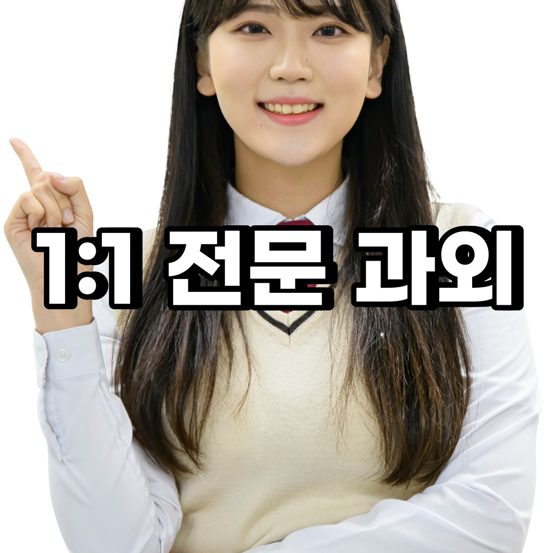  괴산 초등 영어과외 음성 단양 중학생 중등 고등 국어 수학과외
