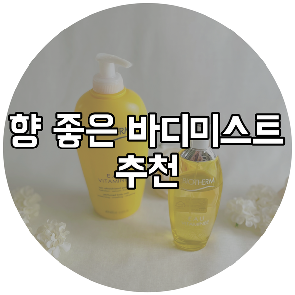  비오템 바디미스트 오비타미네 올바른 사용법