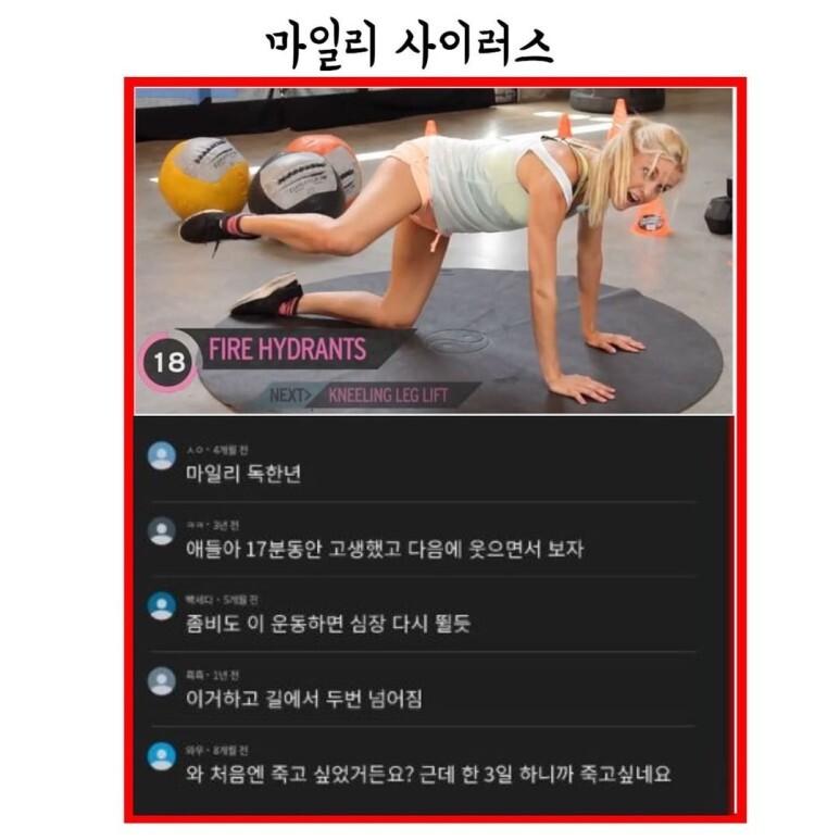  운동 유튜버 악플 리뷰