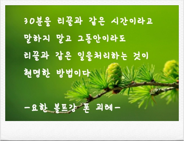  325번째 선물 - 자투리 시간을 활용하자.