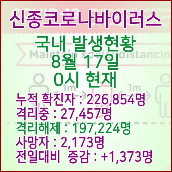  코로나19(코로나바이러스) 8월 17일 0시 국내(해외포함) 발병 226,854명 / 197,224명 완치 격리해제 / 사망자 2,173명