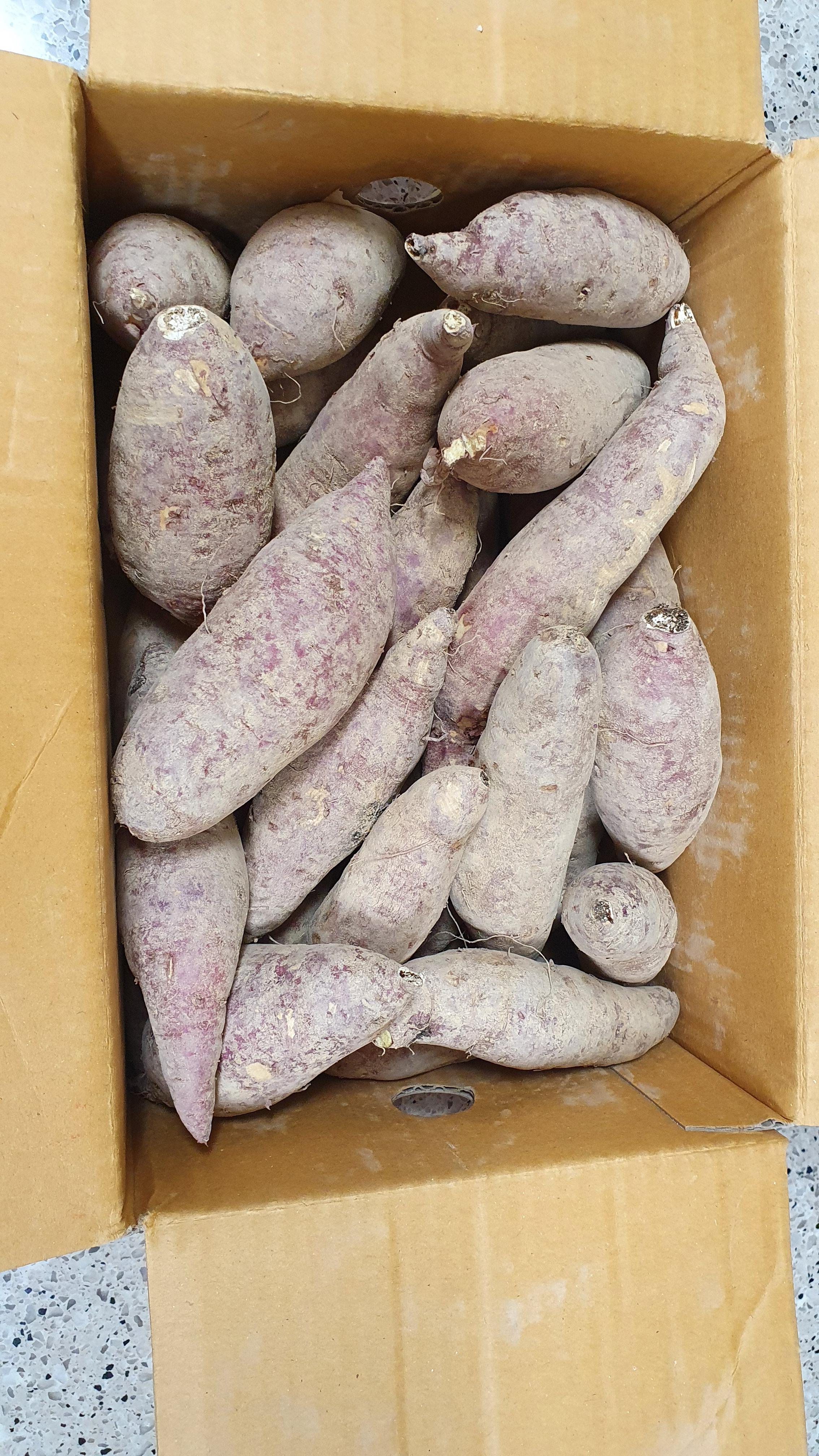  고구마 찌는법 베니하루카 고구마 부드럽게 찌는 시간을 알아보자 feat 고구마 다이어트,고구마 보관하는법