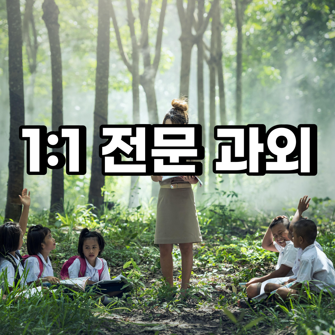 포천 초등 영어과외 관인면 화현면 중등 고등 국어 수학과외 검정고시