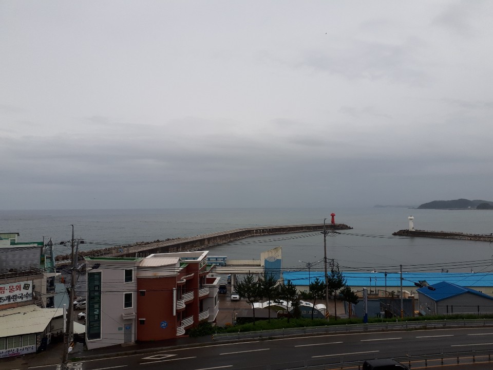  양양군 물치항 회센터