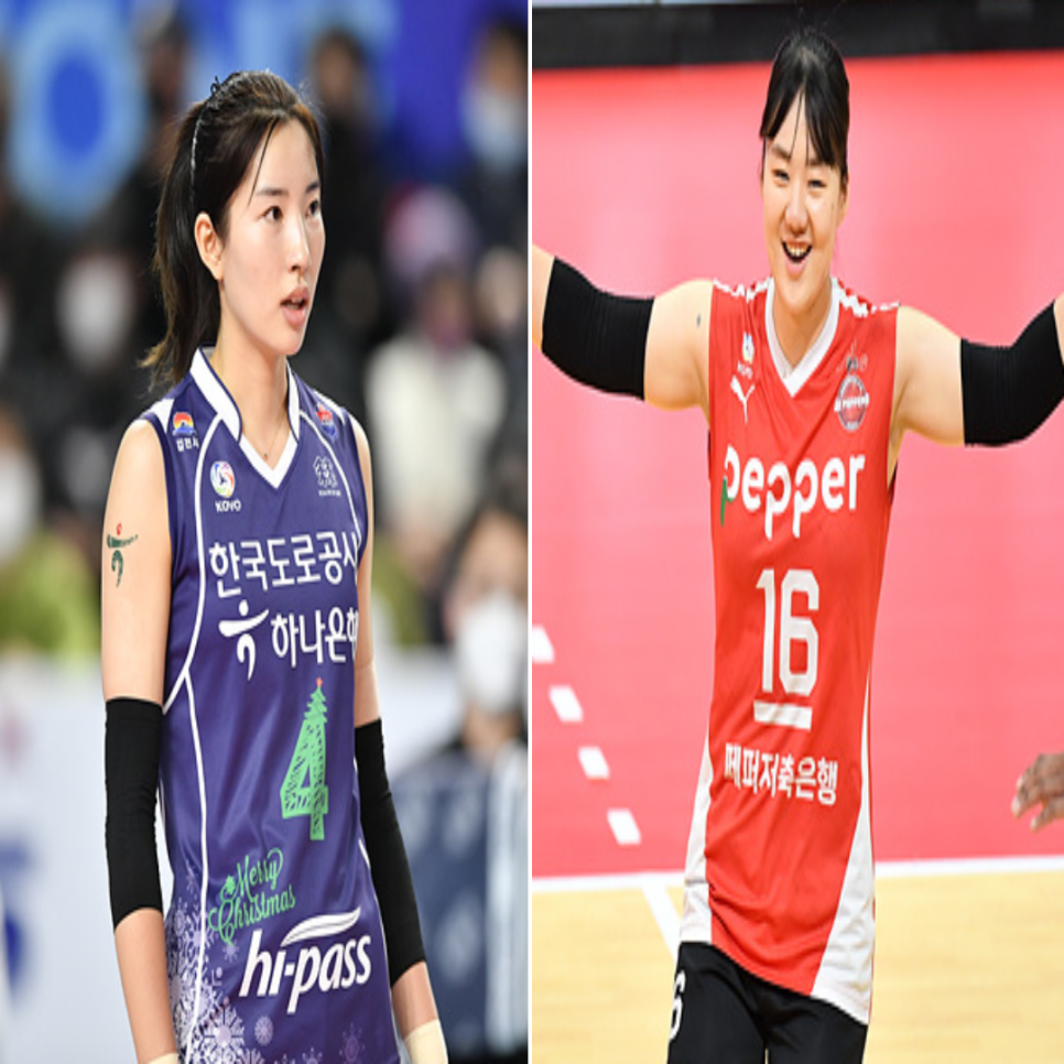  도로공사 페퍼저축은행, V리그 여자배구 12월 31일 경기예상(도공페퍼, 페퍼도공, 카타리나 캣벨 박정아 니아리드 박은서 오지영)