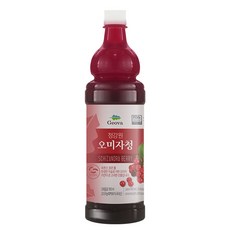 맛있고 건강한 인기 오미자 제품군 추천10종 득템하세요