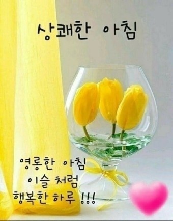  1일 자기개발글쓰기 7일차