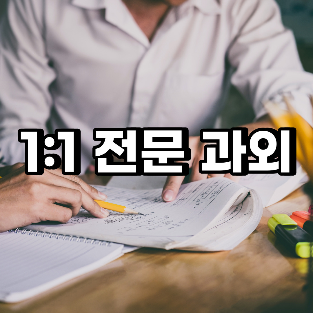  종로구 초등 영어과외 세종로 신문로  중학생 중등 고등 국어 수학과외