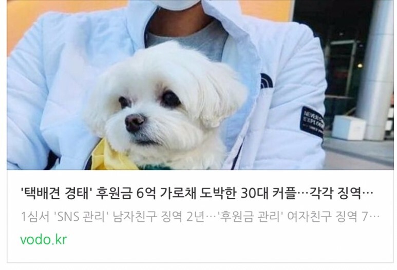 [오후뉴스] '택배견 경태' 후원금 6억 가로채 도박한 30대 커플…각각 징역 2년·7년