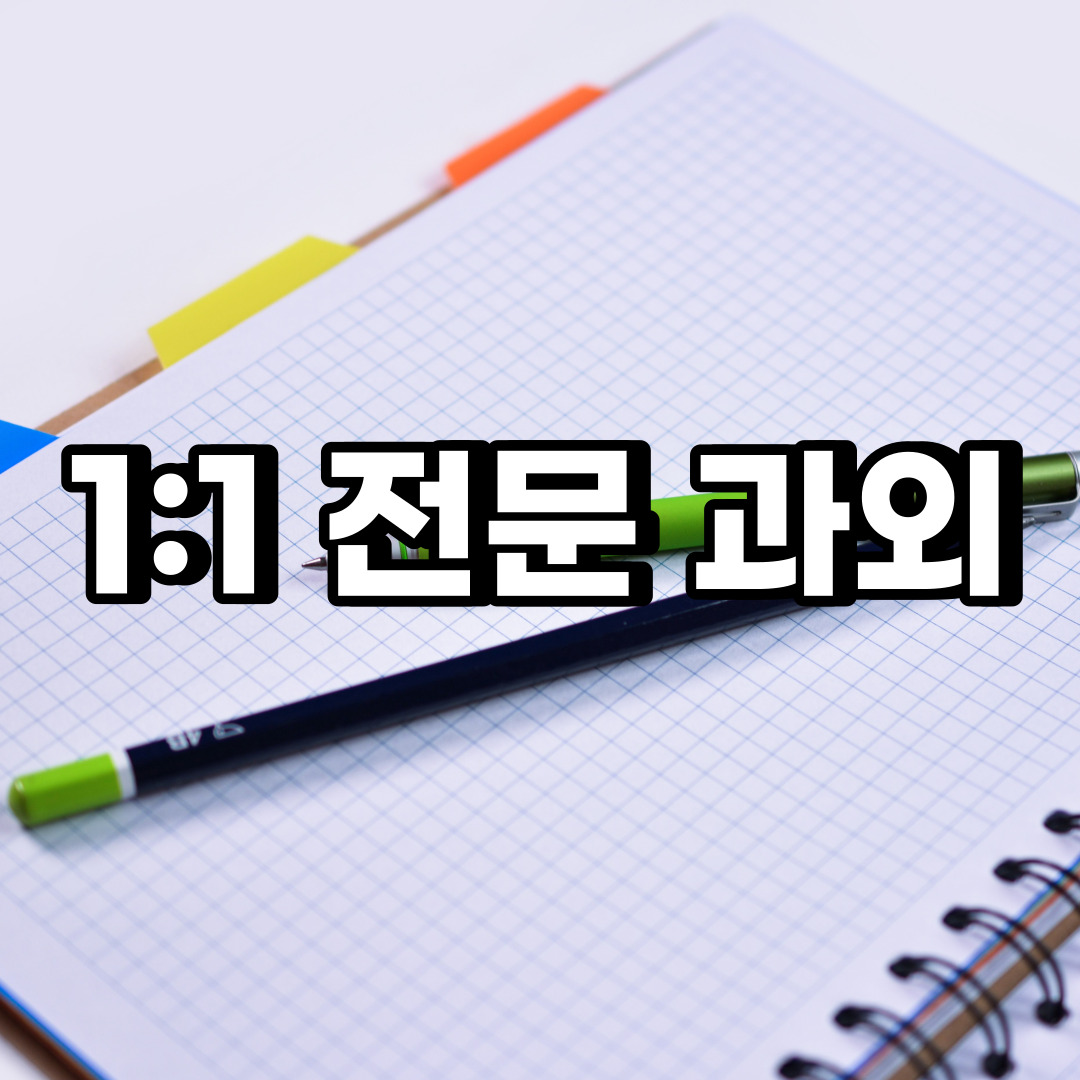  마포구 초등 영어과외 상암동 서강동 중등 고등 국어 수학과외