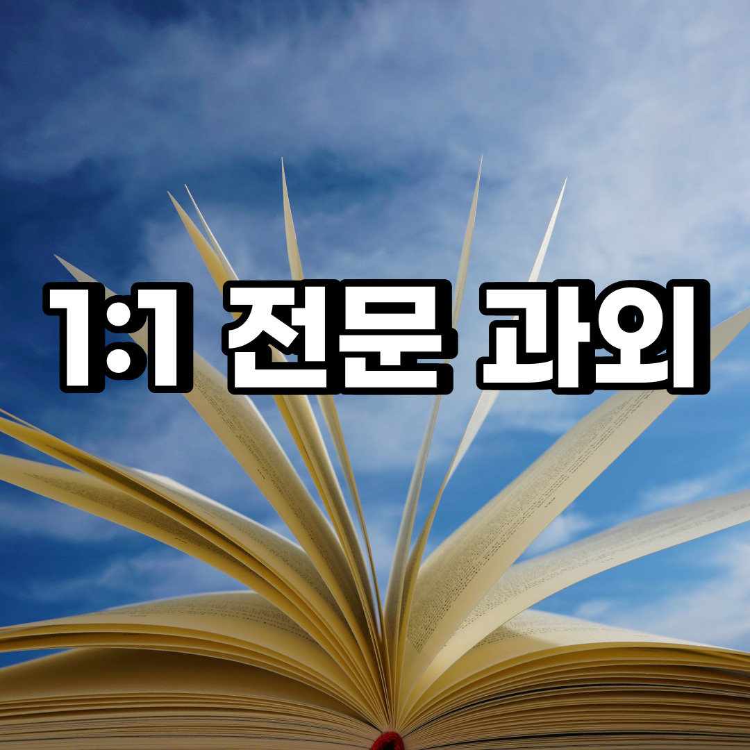 서울중구 초등학생 영어과외 회현동 충무로 중학생 고등학생 국어 수학과외 검정고시