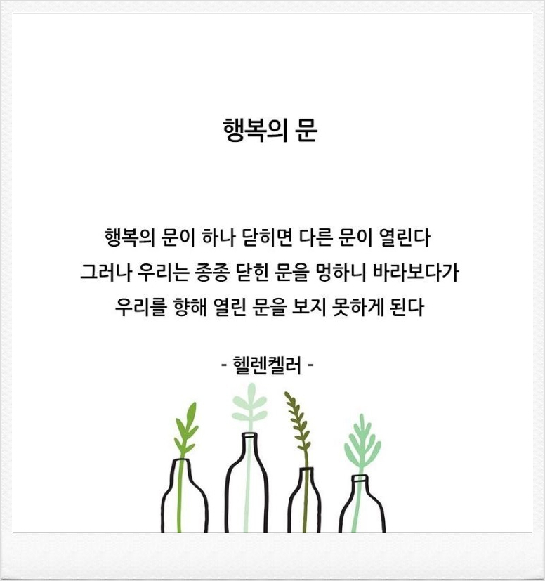  252번째 선물 - 실패와 좌절이 새로운 기회를 만든다.