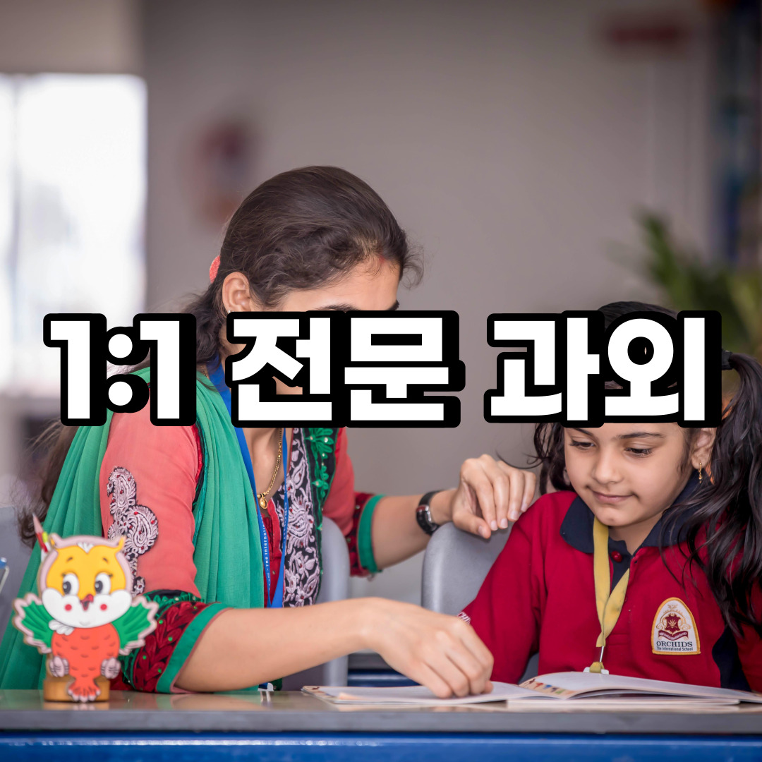  보령 초등 영어과외 아산 서산 중학생 중등 고등 국어 수학과외