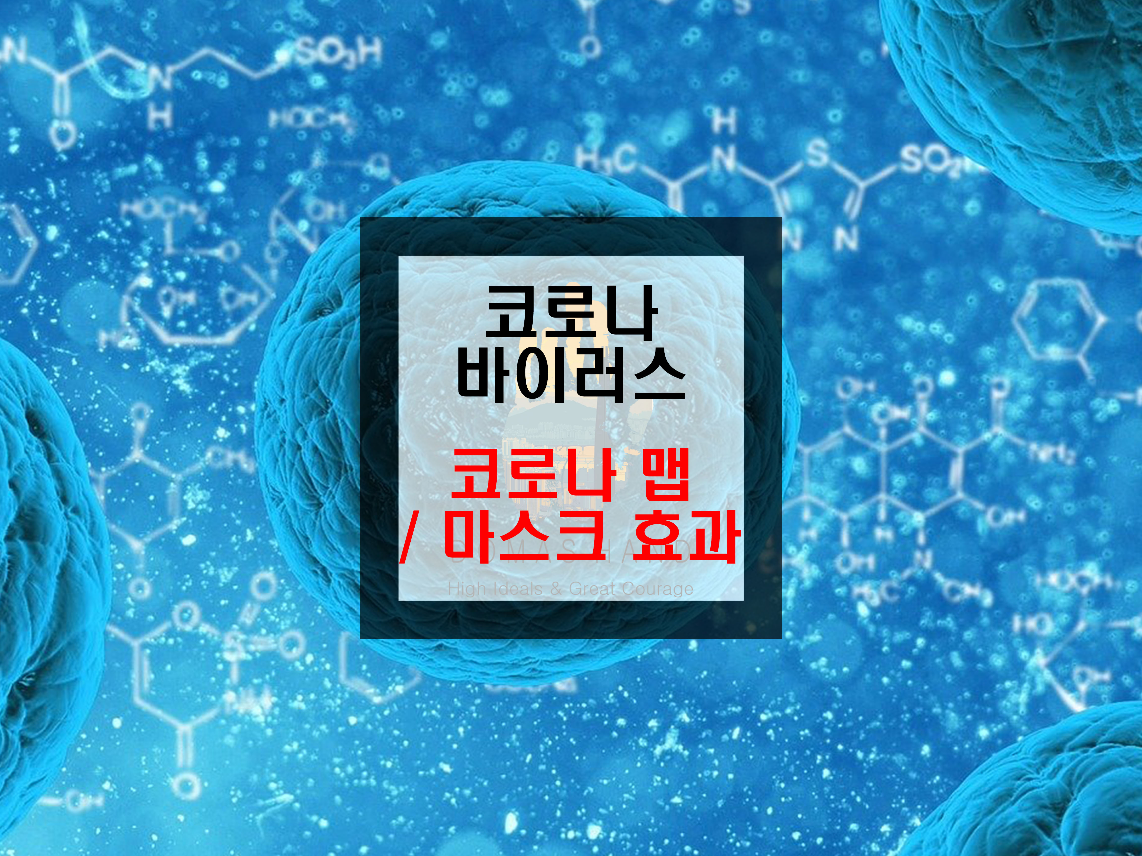  [코로나 바이러스] 코로나 맵, 위험정도 및 마스크 효력
