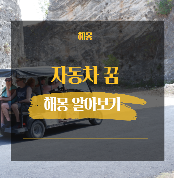  자동차 꿈 해몽 해석 모음 대표적인 19가지