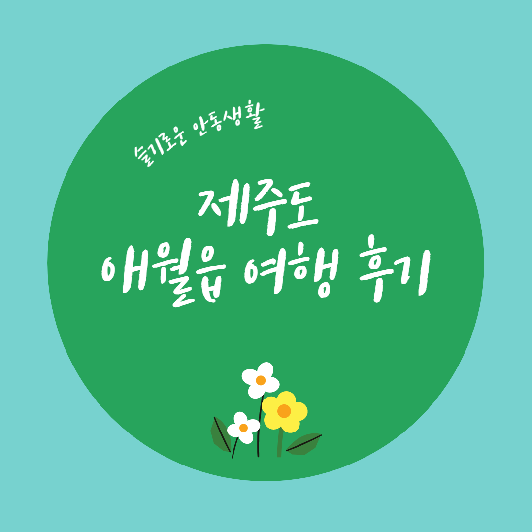  제주도 여행코스 (애월읍 코스 추천)
