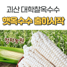  맛좋은 품질 괴산대학찰옥수수 외 10종 모음 . 아.시.겠.어.요?
