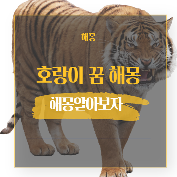  호랑이 꿈 해몽 해석 모음 22가지