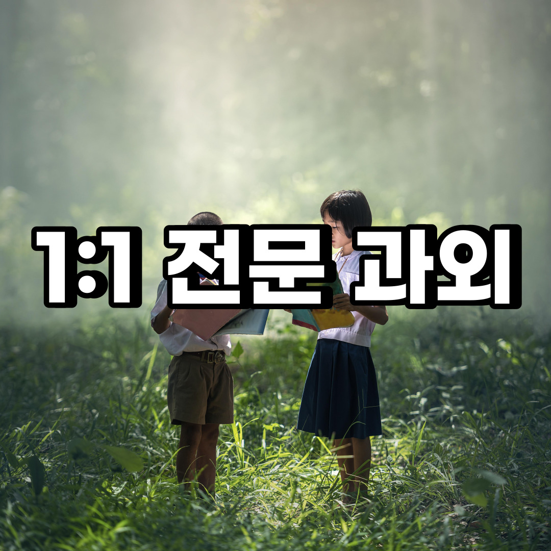  광주 초등 영어과외 양주 포천 중학생 중등 고등 국어 수학과외