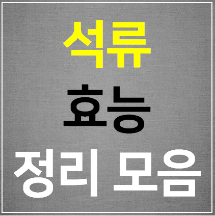  석류 효능 16가지 정리